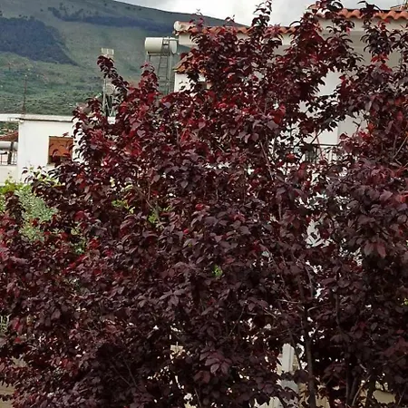 Altin Sefi Appartement Berat